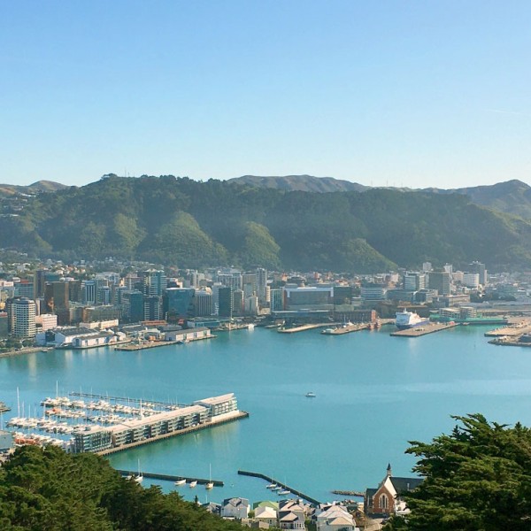 Mount Victoria - View of Wellington