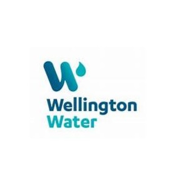 UPDATE from Wellington Water re discharge into Waiwhetū Stream and subsequently the Harbour  